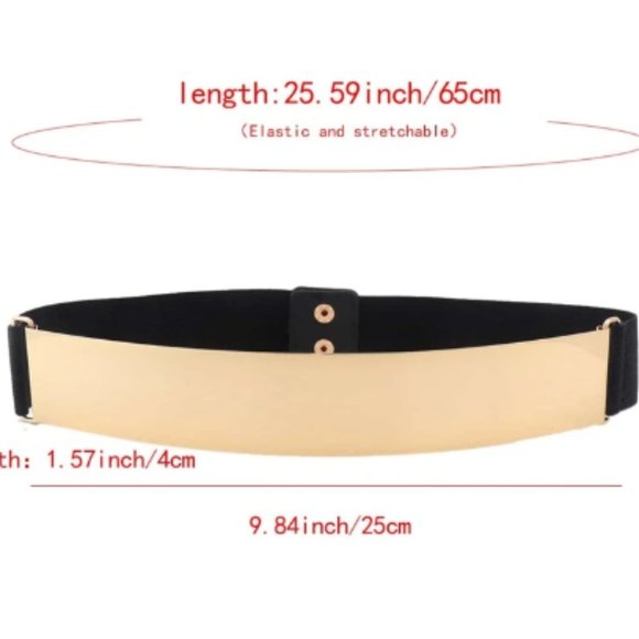 Gold Plate Front Elastic Belt - Picture 7 of 8